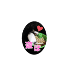 パンダマウス2（個別スタンプ：9）