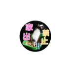 パンダマウス2（個別スタンプ：10）