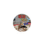 パンダマウス2（個別スタンプ：11）