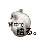ゴルネネともちお。（個別スタンプ：1）