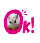 ゴルネネともちお。（個別スタンプ：2）