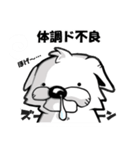 わんころの白いやつ（個別スタンプ：18）