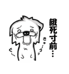 わんころの白いやつ（個別スタンプ：26）