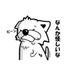 わんころの白いやつ（個別スタンプ：36）