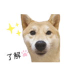 竹千代と千（個別スタンプ：6）