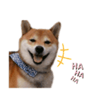 竹千代と千（個別スタンプ：7）
