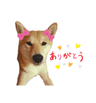 竹千代と千（個別スタンプ：16）