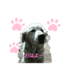 ももとももお（個別スタンプ：2）