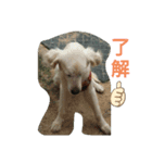 ももとももお（個別スタンプ：3）