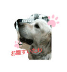 ももとももお（個別スタンプ：4）