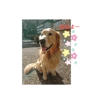 ももとももお（個別スタンプ：5）