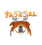 きょうのごはんアソート（個別スタンプ：1）