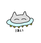 ねこゆーほー（個別スタンプ：2）