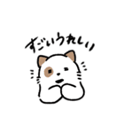もちもこまんまる（個別スタンプ：1）