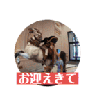 萩谷三姉妹（個別スタンプ：34）