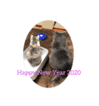 Life of My Three Cats（個別スタンプ：30）