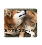 aru yamada（個別スタンプ：6）