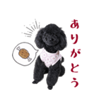 あらしやまスタンプ（個別スタンプ：4）