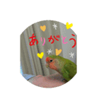 kawafamily15（個別スタンプ：1）