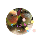 kawafamily15（個別スタンプ：2）
