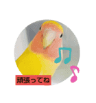 kawafamily15（個別スタンプ：4）