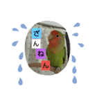 kawafamily15（個別スタンプ：5）