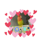 kawafamily15（個別スタンプ：7）