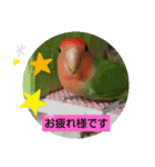 kawafamily15（個別スタンプ：11）