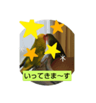 kawafamily15（個別スタンプ：15）