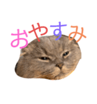 千と珀のスタンプ（個別スタンプ：2）
