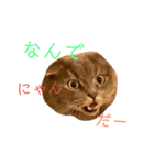 千と珀のスタンプ（個別スタンプ：4）