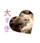 千と珀のスタンプ（個別スタンプ：5）