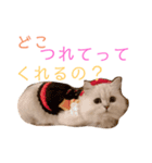 千と珀のスタンプ（個別スタンプ：6）