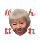 I am R爺2（個別スタンプ：1）