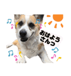 オハナのスタンプ時々リン（関西弁ver.）（個別スタンプ：2）