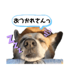 オハナのスタンプ時々リン（関西弁ver.）（個別スタンプ：4）