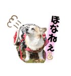オハナのスタンプ時々リン（関西弁ver.）（個別スタンプ：9）