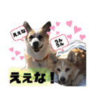 オハナのスタンプ時々リン（関西弁ver.）（個別スタンプ：17）