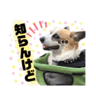 オハナのスタンプ時々リン（関西弁ver.）（個別スタンプ：33）