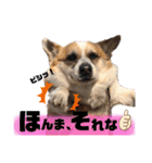 オハナのスタンプ時々リン（関西弁ver.）（個別スタンプ：34）