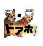オハナのスタンプ時々リン（関西弁ver.）（個別スタンプ：38）