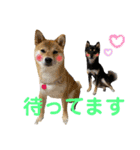 きなクロ！（個別スタンプ：7）