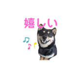 きなクロ！（個別スタンプ：10）