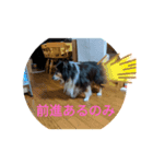 ぼくウッ爺（個別スタンプ：2）