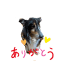 ぼくウッ爺（個別スタンプ：3）