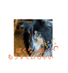 ぼくウッ爺（個別スタンプ：4）