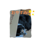 ぼくウッ爺（個別スタンプ：5）