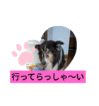 ぼくウッ爺（個別スタンプ：8）