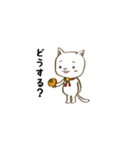 ねこのにちじょう。（個別スタンプ：30）