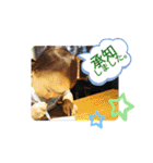 うちのこころさん。3（個別スタンプ：15）